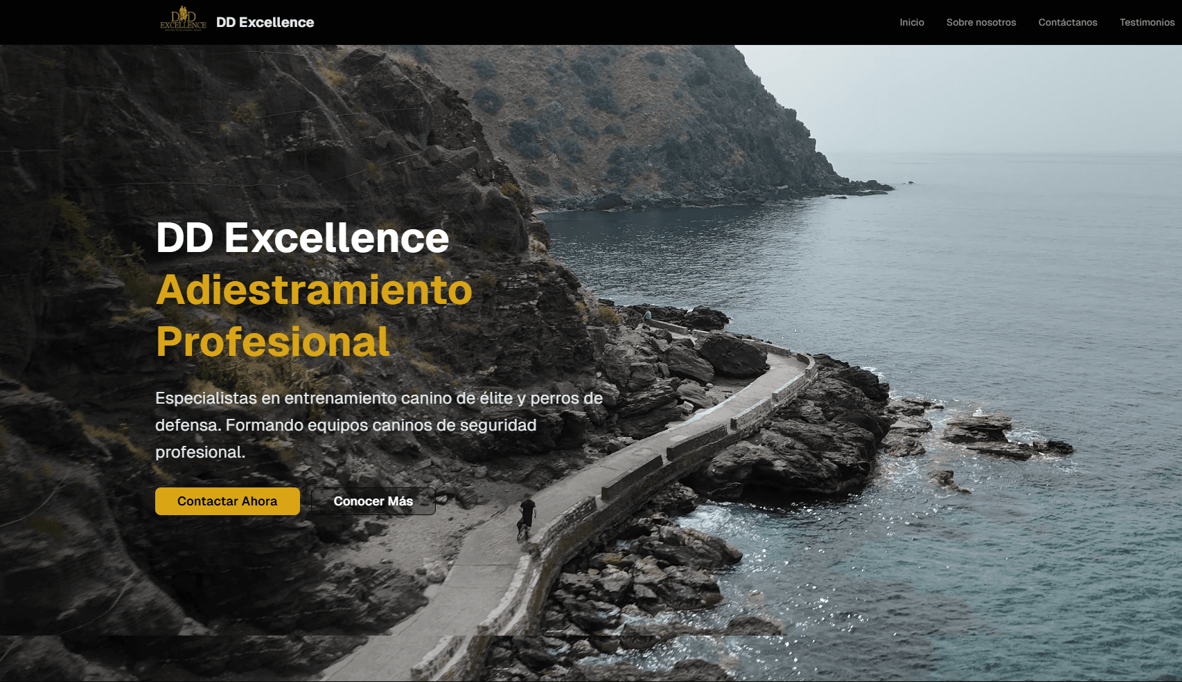 DD Excellence